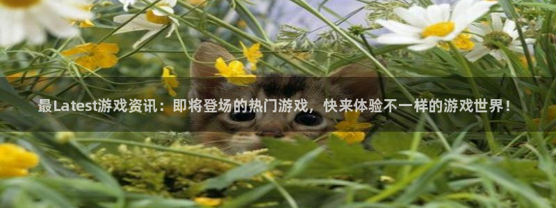 长征娱乐开户测速：最Latest游戏资讯：即将登场的热门游戏