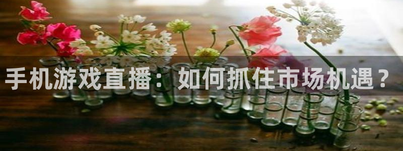 长征娱乐登录：手机游戏直播：如何抓住市场机遇？