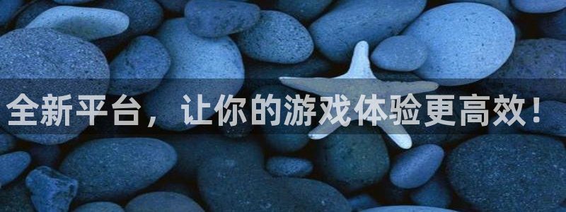 长征娱乐注册开户：全新平台，让你的游戏体验更高效！