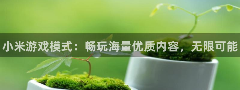 长征娱乐怎么注册：小米游戏模式：畅玩海量优质内容，无限可能