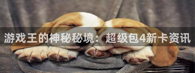 长征娱乐2首页登录：游戏王的神秘秘境：超级包4新卡资讯