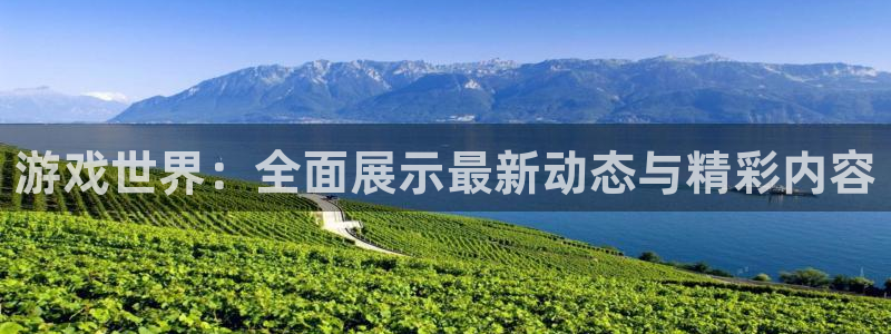 长征娱乐网址官网:游戏世界:全面展示最新动态与精彩内容