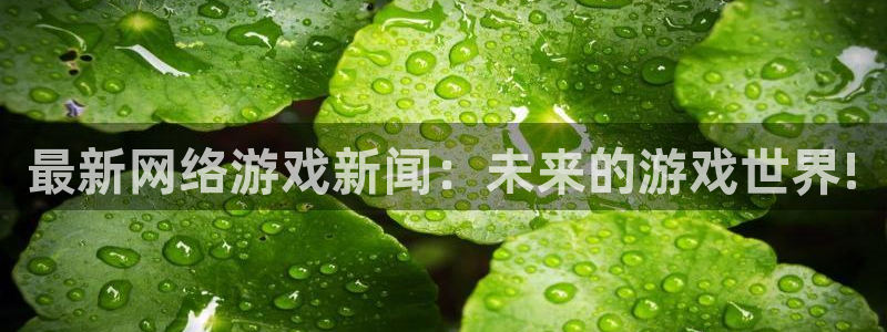 长征娱乐2首页登录：最新网络游戏新闻：未来的游戏世界!