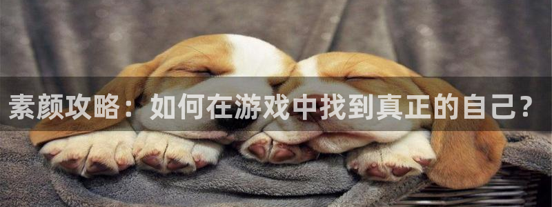 长征娱乐官方平台：素颜攻略：如何在游戏中找到真正的自己？